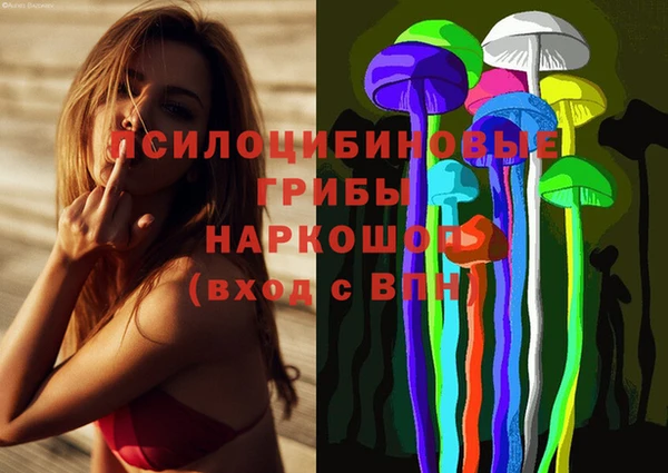 дурь Верхний Тагил