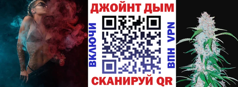 Конопля Amnesia  Купить закладки  Буй 